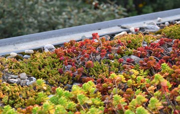 the cost of Bannockburn green roof installation