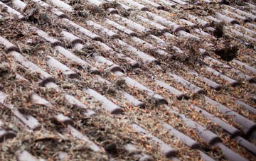 Bannockburn roof cleaning companies