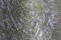 Bannockburn fibreglass roof work